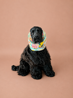 Snood