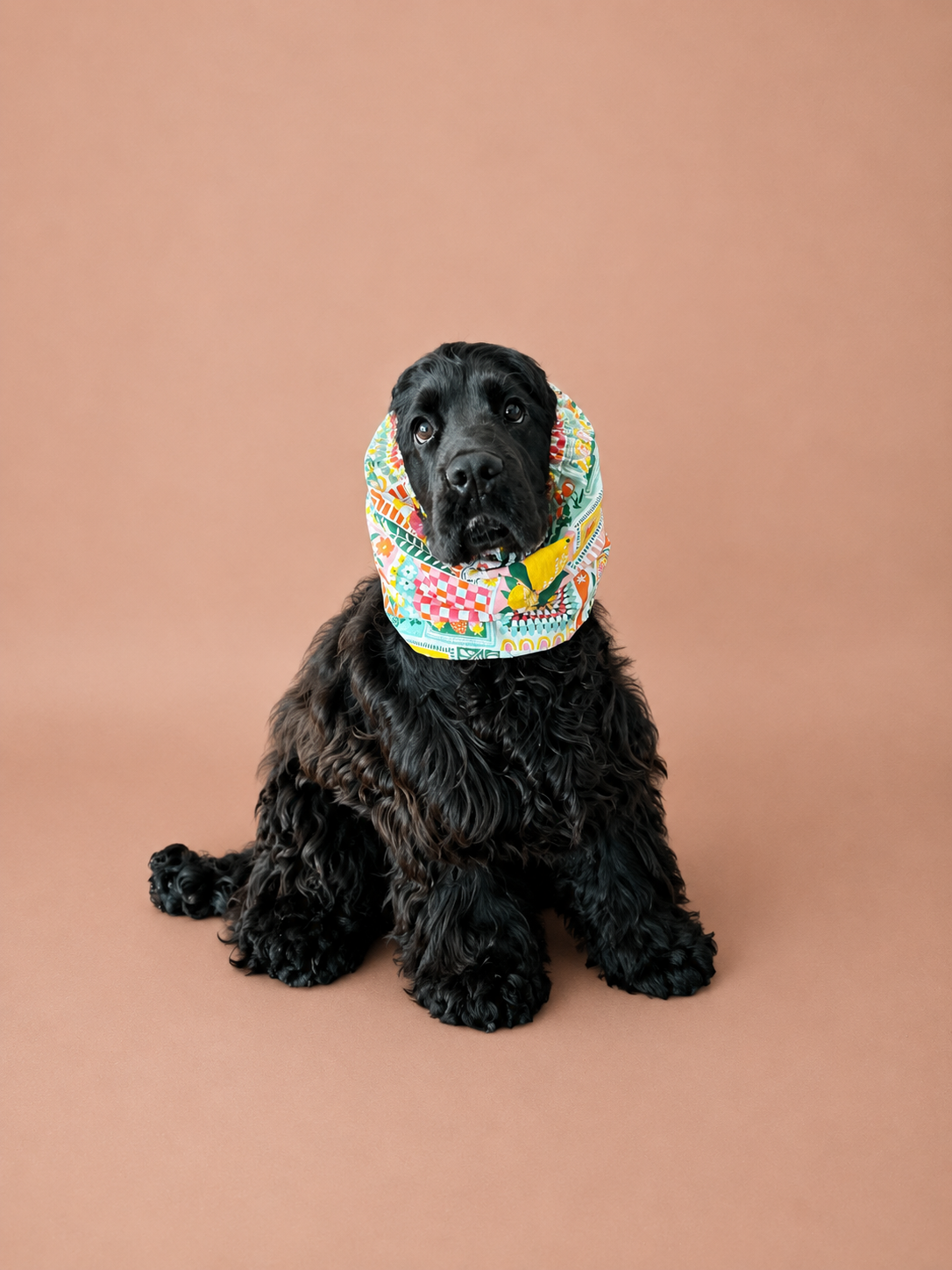 Snood