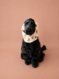 Snood gaze de coton