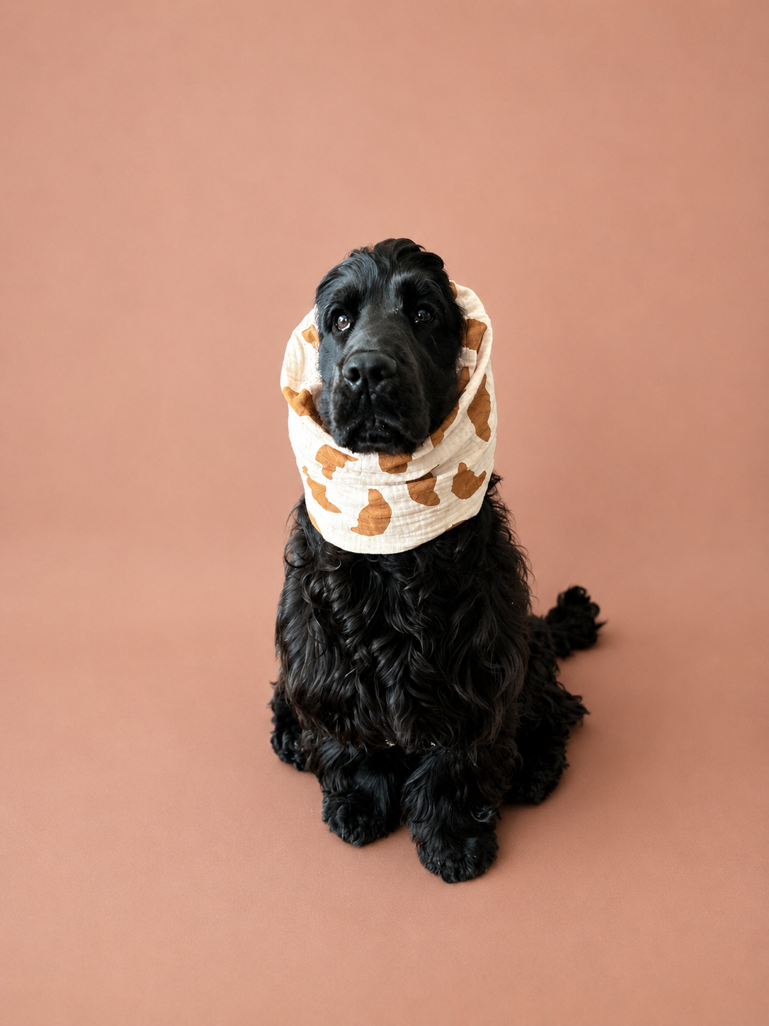 Snood gaze de coton