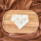 Bandana Akola