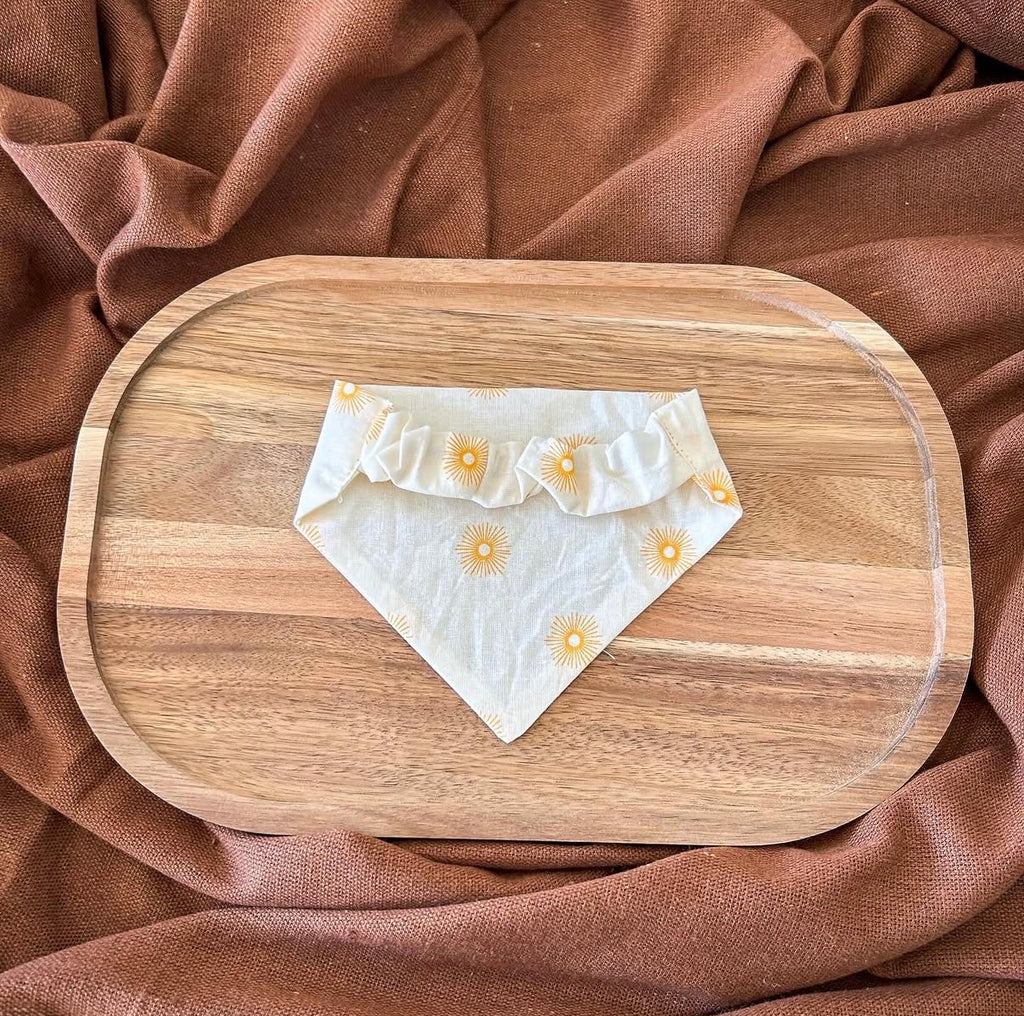 Bandana Akola