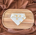 Bandana Akola