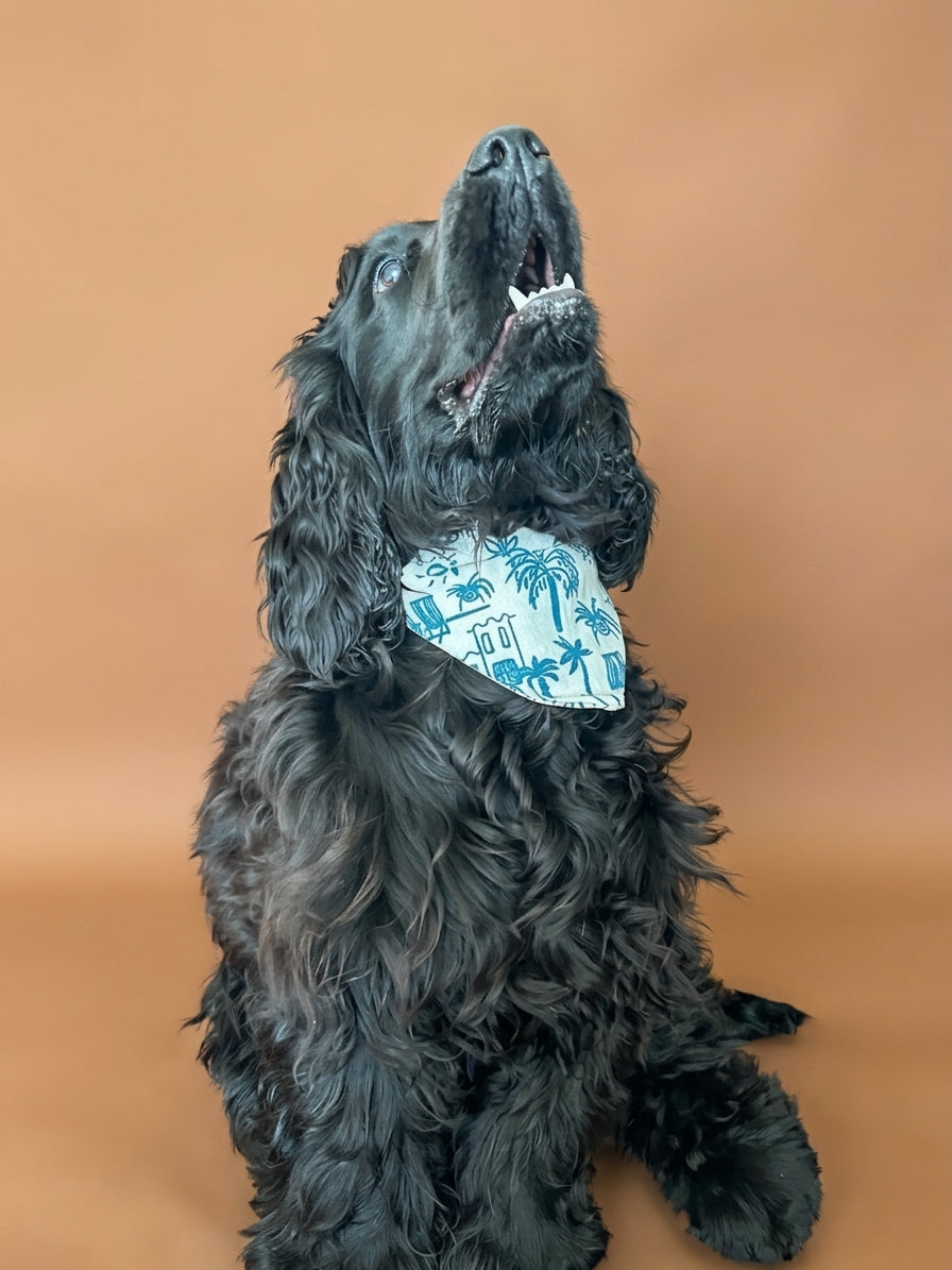 Bandana Astro
